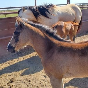 Meet your Posher, Jared